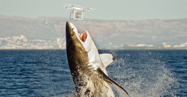 Australie zet drones in om stranden COVID-vrij te houden